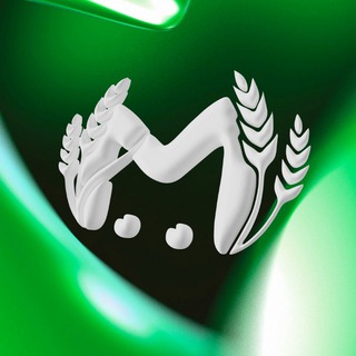 Логотип @kub_masx - Куб Мэш чат | Краснодар