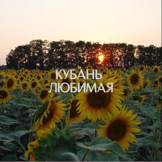 Логотип @kuban23_love - Любимая Кубань