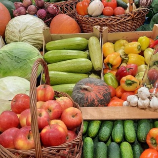 Логотип @kubanfermer - 🍅 РОССИЙСКИЙ ФЕРМЕР. ОВОЩИ-ФРУКТЫ-ЯГОДЫ ОПТОМ