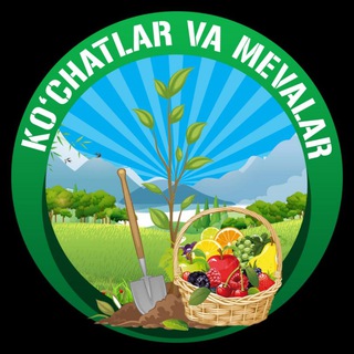 Логотип @kuchatlar_va_mineralogitlar - Куучатлар ( Kochat )