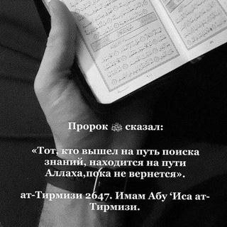 Логотип @kucherrrrrrrrrrrr - Kucher...