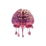 Логотип @kuhnyaof - Кухни мира