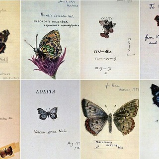 Логотип @kuhonka - kuhonka