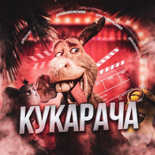 Логотип @kukarachaa - КУКАРАЧА ПРИКОЛЫ