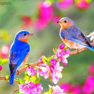 Логотип @kulikovachat - Обсуждение🍀Здоровье🍀Питание🍀Уход за кожей