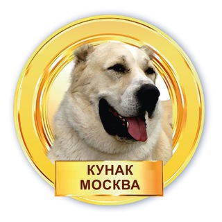 Логотип @kunak_msk - КУНАК Москва