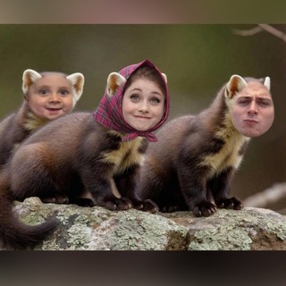 Логотип @kunitsaetozver - Куница – это зверёк🦦