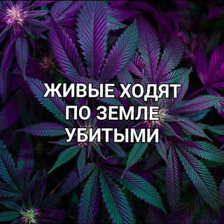 Логотип @kurilka56 - ПЕРЕХОДНИК КУРИЛКИ ОРЕНБУРГ - ОРСК✌️
