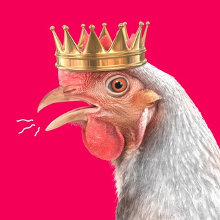 Логотип @kurmedia - КУРЯТНИК