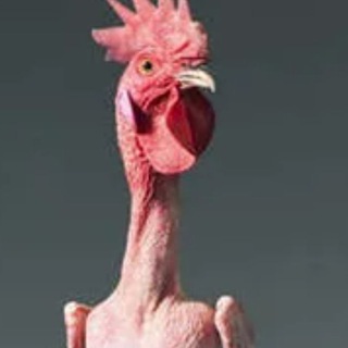 Логотип @kurohkilife - Домашние курочки