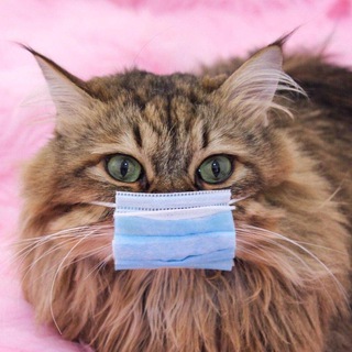 Логотип @kurskbb - Курск ББ