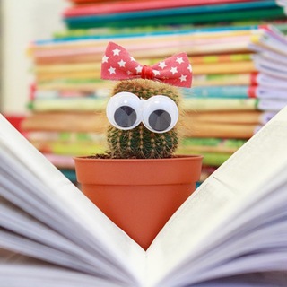 Логотип @kursslivbesplatno - Платные курсы - БЕСПЛАТНО🎉