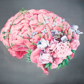 Логотип @kursy_mozg - Курсы школы "Мега мозг"