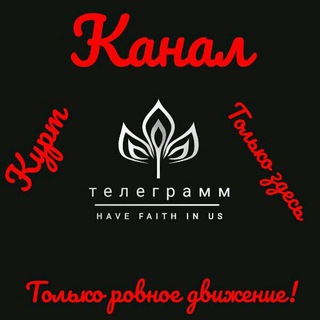 Логотип @kurtcobainsko1_kanal - ОТЗЫВЫ КУРТА