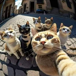 Логотип @kustsmokpaws - Живой мир 🐾