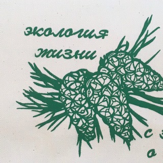 Логотип @kuzbasstrail - КУЗБАССТРЕЙЛ