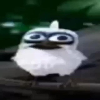 Логотип @kv1llyyyyyy - pt1chka medium