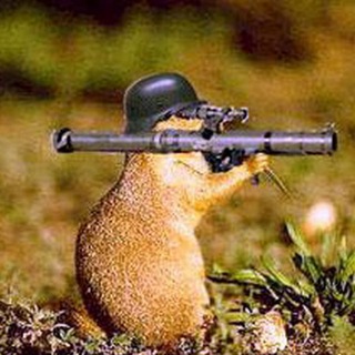 Логотип @kva1918 - TopBoom-V