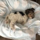 Логотип @kweeyi - ты будешь жить с этим