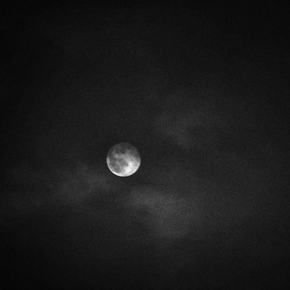 Логотип @kyankiss - sírelesím.