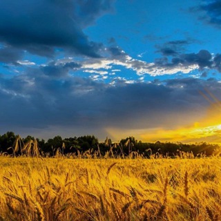 Логотип @kyivnews_world - Новини UA 🇺🇦 World War!