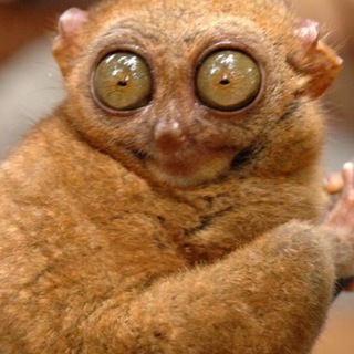 Логотип @kyivtrash - Київський треш😱