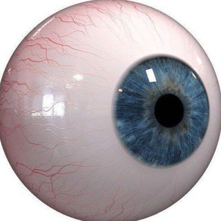 Логотип @kyki_rofls - переезд!!