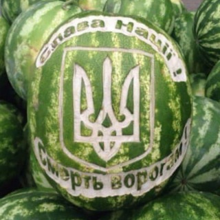 Логотип @kypcusd - Курс $ Херсон