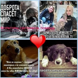 Логотип @kyriryem_sveta_mila - ❤️#кураторы_Света&Мила Помощь хвостикам Ростов на Дону и область у нас 🐶🐱🦮🐕‍🦺🐕150 (с хвостиком)собак 🐶и кошек 🐱
