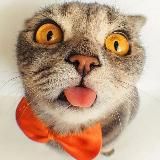 Логотип @kyzkinamate - КузЬкиНа МатЬ | Новости России