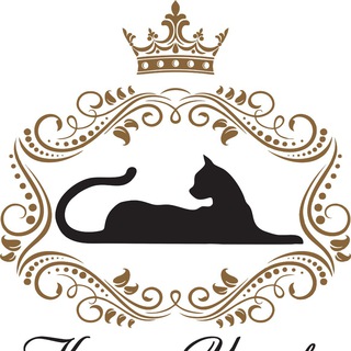 Логотип @kzarstvo - КОШАЧЬЕ ЦАРСТВО