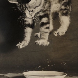 Логотип @l010o002x - глупости