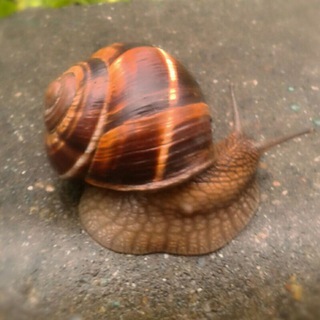 Логотип @l07oolj - Любознательный Человек ;)