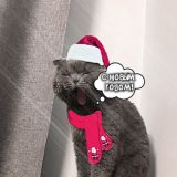 Логотип @l1nqwx - .