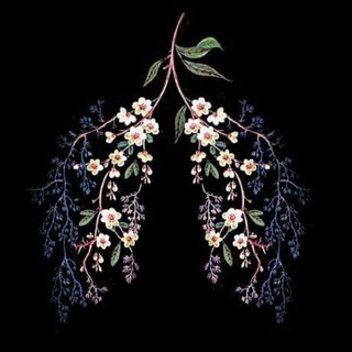 Логотип @l_koran114_l - _Коран.114_