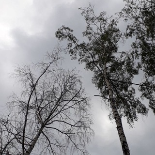 Логотип @l_narrative - осколки