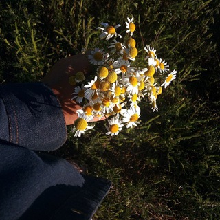 Логотип @l_ove_y_ourself - —Turn Off Your Emotions—