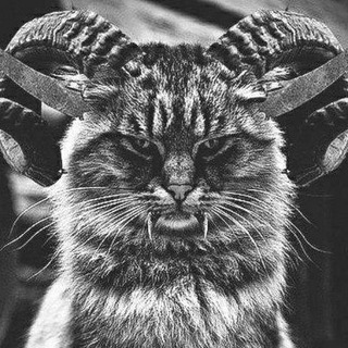 Логотип @l_ucifersam - И имя мне Вирус