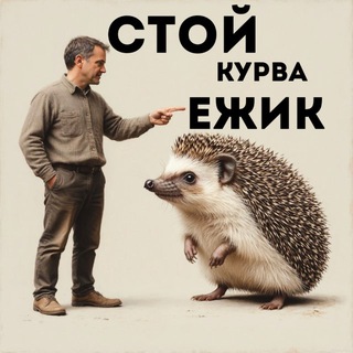 Логотип @L-WxE1gG8n05Mzhi - 100й Курво