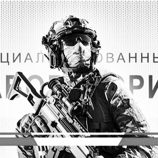 Логотип @labppsh - Лаборатория ППШ