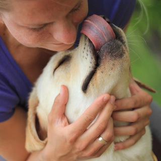 Логотип @labrolover - Labrolover