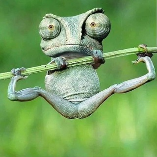 Логотип @lachenmitkleintod - Lach- und Krachgeschichten