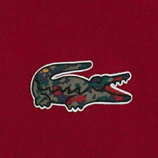 Логотип @lacoste_2oo4 - 🅻🅰🅲🅾🆂🆃🅴🐊