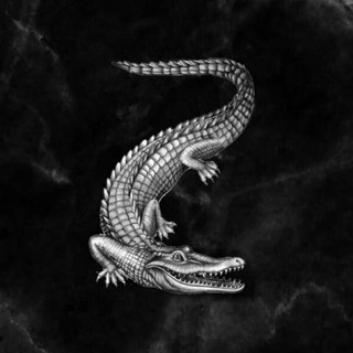 Логотип @lacostet888 - 🐊𝕃𝔸𝕂𝕆𝕊𝕋𝔼 𝕊𝕋𝕀𝕃𝔼🐊