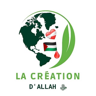 Логотип @lacreationdallah - LA CRÉATION D'ALLAH ﷻ