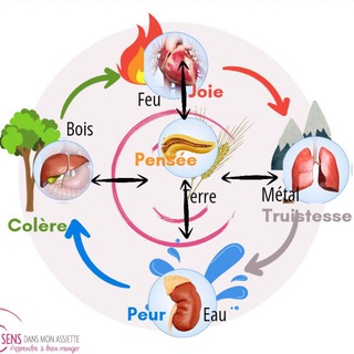 Логотип @lacuisinedubonsens - Les clés de la médecine chinoise