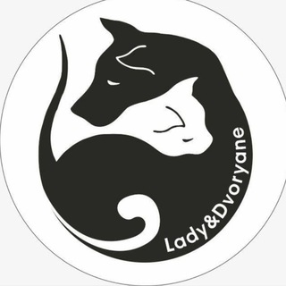 Логотип @lady_dvoryane - Lady_dvoryane Спасаем и ищем 🏠 НЕ ПРИЮТ