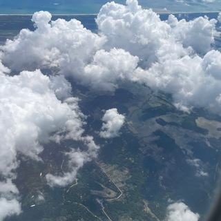 Логотип @ladystarter - KLiNN