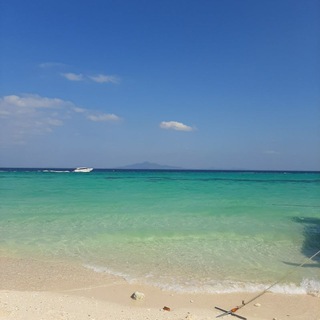 Логотип @laiknimirnatelefon - 🌎ЛАЙКНИ МИР НА ТЕЛЕФОН🌎