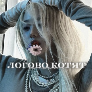 Логотип @lairofkittensss - ⋆⁺₊⋆ ᴧᴏᴦᴏʙᴏ ᴋᴏᴛяᴛ 🐈